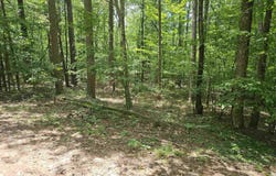 5 Tistaban Lane, Hot Springs Village, AR 71909
