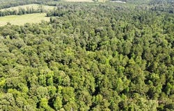 AB 247-2 CR 416, San Augustine, TX 75972