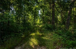Beechnut, Stover, MO 65078