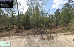 113 ROME Avenue, INTERLACHEN, FL 32148