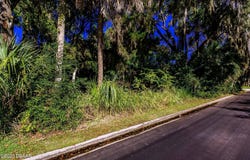 493 Hammock Lane, Ormond Beach, FL 32174