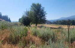 XXX HWY 395, KETTLE FALLS, WA 99141