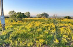 3623 Art Hedwigs Hill Rd, Mason, TX 76856