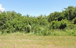 7202 DOOLEY STREET, PORT CHARLOTTE, FL 33981