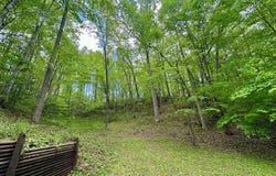 260 Prince Boat Dock Rd, Almond, NC 28702