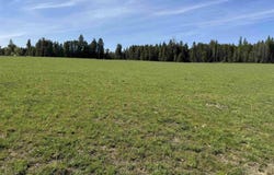 29210 N Spotted Rd, Deer Park, WA 99006