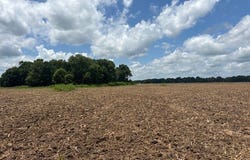 0 Highway 8 North Tract, Philipp, MS 38950