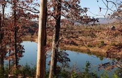 8 Lakeview Drive, Rising Fawn, GA 30738