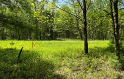 1.3 Elwood Rd., Vienna, NY 13042