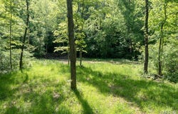 0 Tract 2 off Madison 320, Marquand, MO 63655