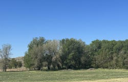 1105 East 4796 North, Buhl, ID 83316