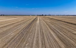 Flint Avenue, Hanford, CA 93230