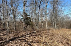 32677 Cougar Way, Cole Camp, MO 65325