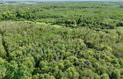 N2410 KIENBAUM RD, Merrill, WI 54452
