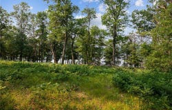 300xx Crystal Lake Drive, Webb Lake Twp, WI 54830