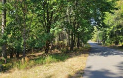 900 East Wilson Way, Grapeview, WA 98546