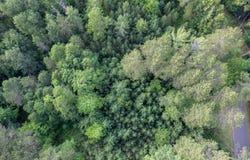 Lot 2 DADS LAKE RD, Eagle River, WI 54521