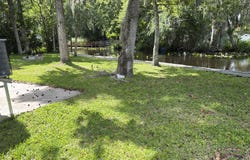 321 PARADISE Circle, Satsuma, FL 32189
