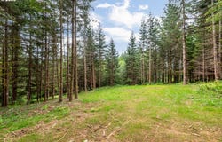 0 Bunker Hill RD, Longview, WA 98632