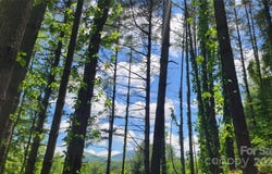 51 Barebridge Fields Road unit: 51, Burnsville, NC 2874