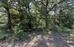 0 Yuma Drive, Mabank, TX 75156