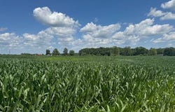 N SD Hwy 95, Smithfield, IL 61477