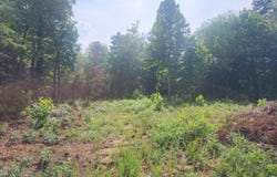 0 Mill Pond Lane, Concord, VA 24538
