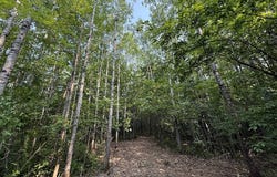 6 Poradish Road, Couderay, WI 54835