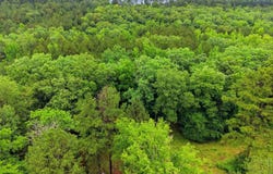 377 Brush Creek Road, Plainview, AR 72857