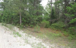 14796 E Shore Line Drive, Wolverine, MI 49799
