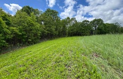 000 Osborn Bluff Road, Tunas, MO 65764
