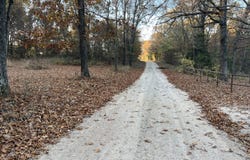 01 County Road 317, Tecumseh, MO 65760