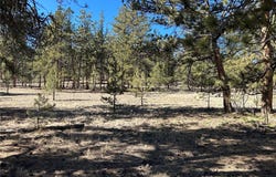 147 Haystack Road, Hartsel, CO 80449