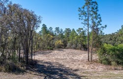3016 Pine Ridge Boulevard W, Beverly Hills, FL 34465