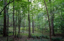 220 Austin Lane, Stokesdale, NC 27357