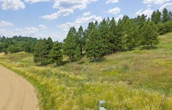 Prairie View Loop lot: 3, Whitewood, SD 57793