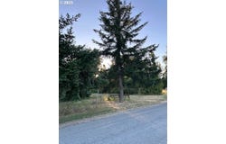 78412 SNAUER LN, Cottage Grove, OR 97424