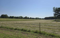 000 Rosebud Road, Quitman, AR 72131