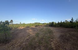 5 Acres Mt. Bethel Rd., Sandy Hook, MS 39478