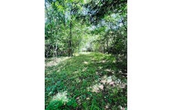 0 Fm-2297, Sulphur Springs, TX 75482