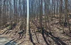 144 Sheridan Road, Hawley, PA 18428