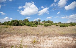 1584 Hidden Oaks Trail, Glen Rose, TX 76043