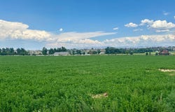 TBD Jefferson Road, Montrose, CO 81403