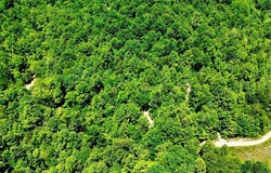 165A Open Fork Road, Olive Hill, KY 41164