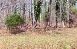 Ponderosa Road, Stoneville, NC 27048