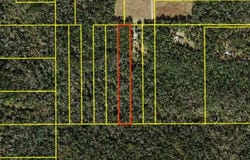 Lewis Lane, Quincy, FL 32351