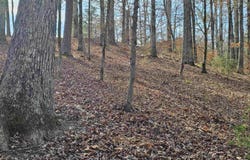 4 Reclamo Place, Hot Springs Village, AR 71909