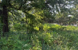 009 S Kelly Road, Agra, OK 74824