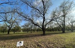 CR 461, De Leon, TX 76444