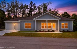 21 Shadow Wood Drive, McHenry, MS 39561